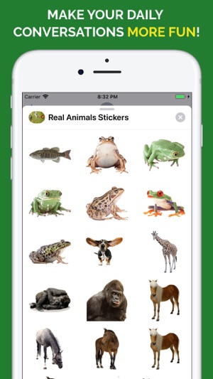 Real Animals Emoji Stickers(圖6)-速報App