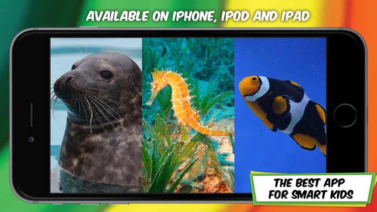 ABC for Kids Learn English screenshot-4