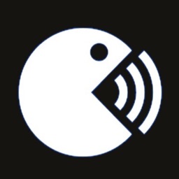 Languager - Fast Translator