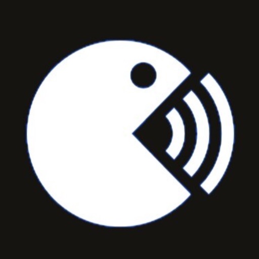 Languager - Fast Translator