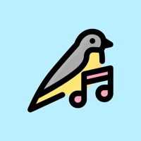 Bird Sound Identifier apk