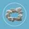 Dr Jon Kabat-Zinn’s Series 3 – NOW available as an app