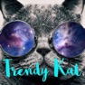 Get Trendy Kat Boutique for iOS, iPhone, iPad Aso Report
