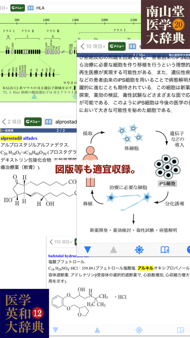 南山堂医学大辞典 第20版・医学英和大辞典... screenshot1