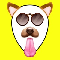 Fun FaceApp with Snapchat на пк