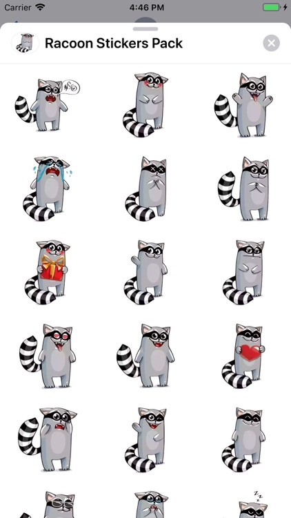 Racoon Stickers Pack