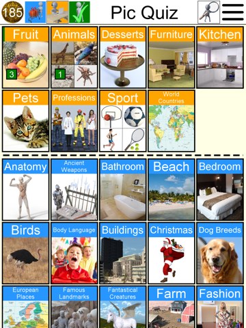 Pic Quiz screenshot 2