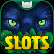 Slots on Tour: Wild HD Casino