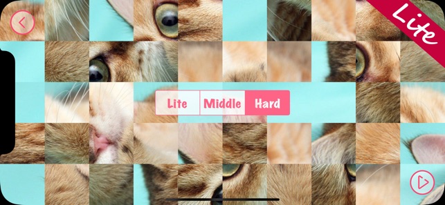 Kittens Lite - Easy Puzzle(圖7)-速報App