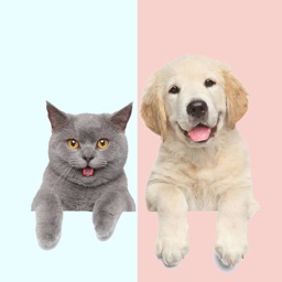 Pet translator - Cat&Dog
