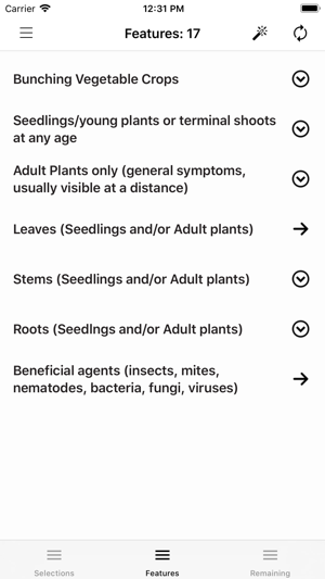 Bunching Vegetables(圖4)-速報App