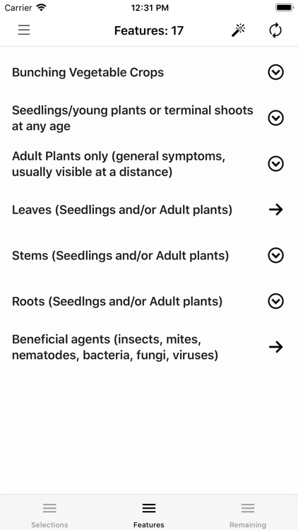 Bunching Vegetables screenshot-3