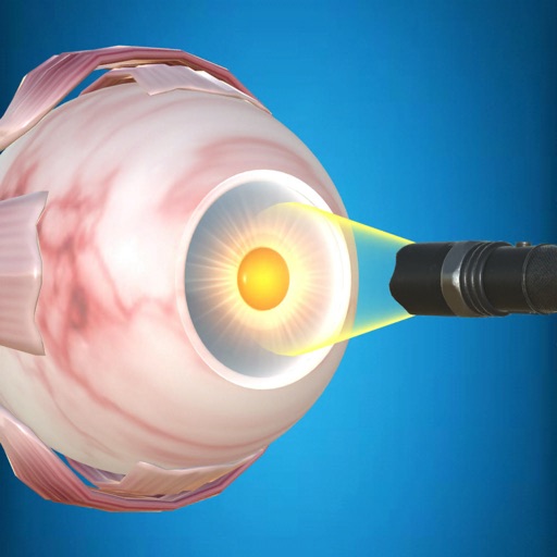 The Eye (Anatomy & Physiology)