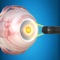 “The Eye” app made especially for students, anatomy and physiology enthusiasts who use eye anatomy and physiology atlas to see inside and better understand of human eye