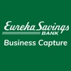 Eureka Business Capture