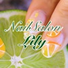 NailSalon Lily