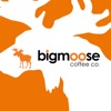 bigmoose coffee