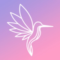 Callibri BeFit на пк