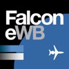 Falcon eWB - iPadアプリ