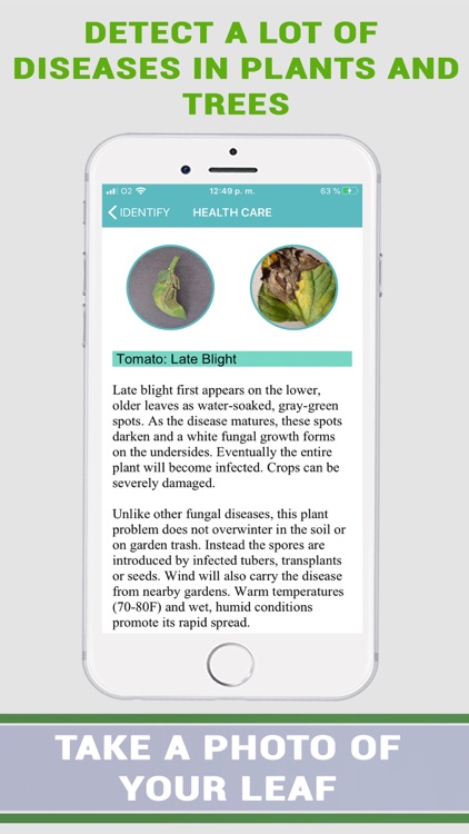 Plant Disease Identifier screenshot-4