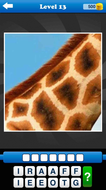 Guess the Close Up - Pics Quiz