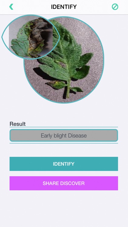 Plants Diseases Identifier screenshot-5