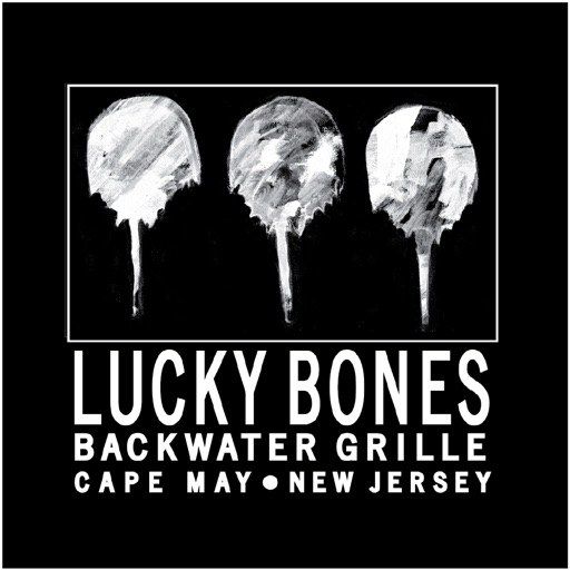 Lucky Bones by Brett Matthews