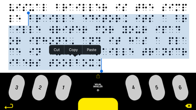 How to cancel & delete Visual Brailler from iphone & ipad 3