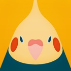 Top 38 Entertainment Apps Like Bird Wallpaper - tori no iro - Best Alternatives