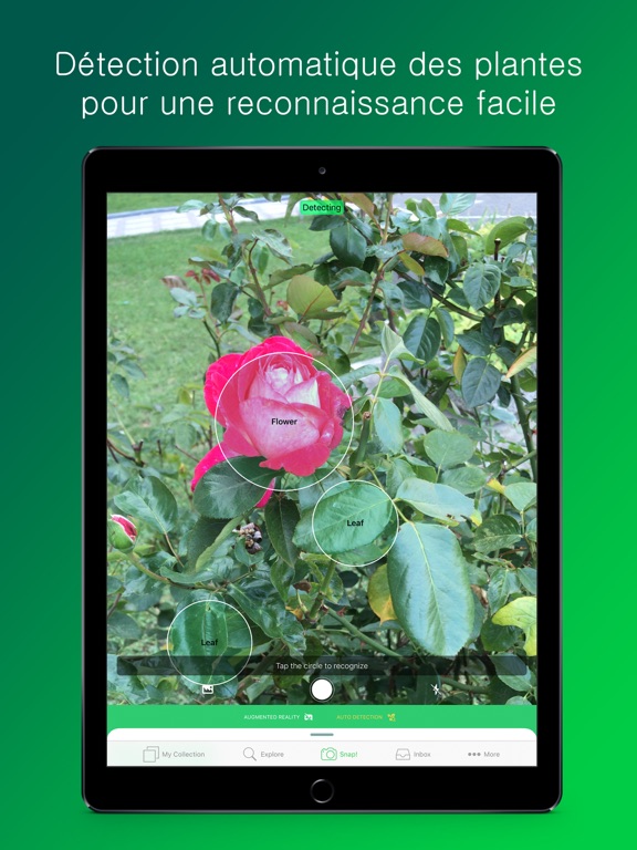 PlantSnap: Fleurs et arbres PlantSnap: Fleurs et arbres