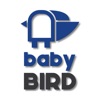 Blue Corvus baby Bird