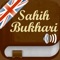 Icon Sahih Al-Bukhari Audio English
