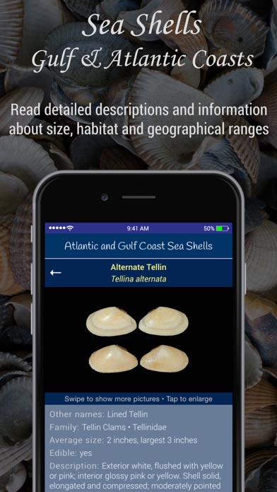 How to cancel & delete Gulf and Atlantic Sea Shells from iphone & ipad 3