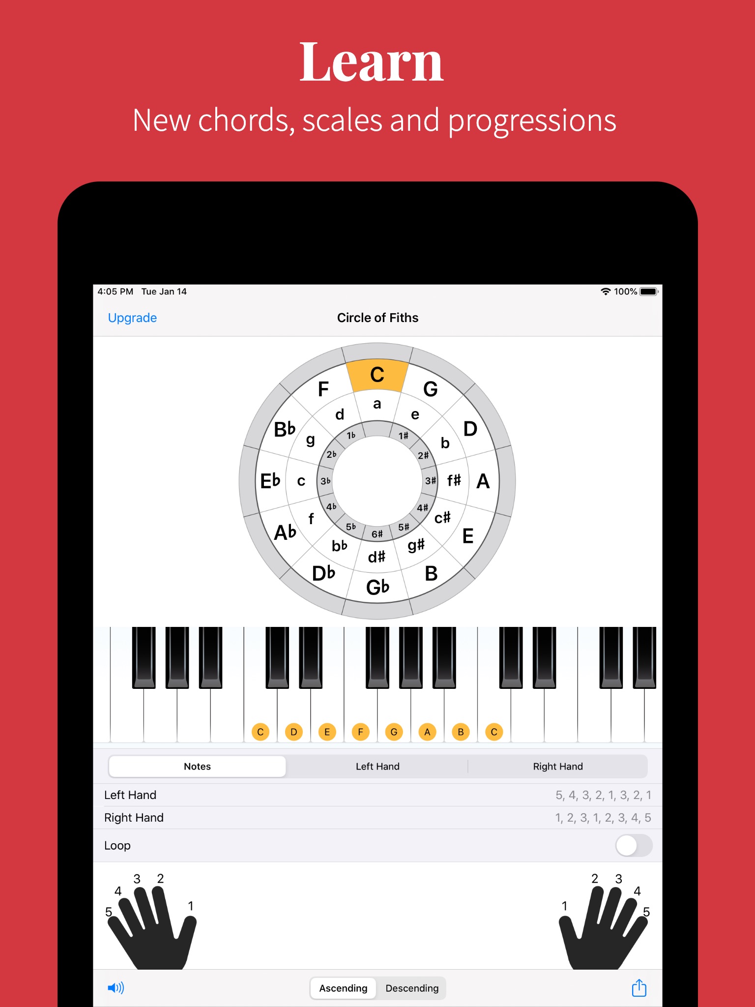 Piano Chords and Scales Pro screenshot 4