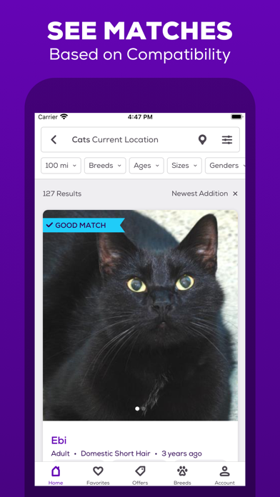 Petfinder Mobile screenshot