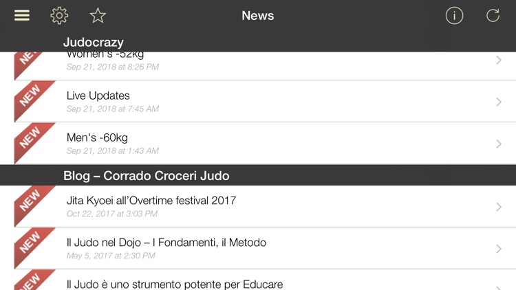 Judo Gokyo screenshot-7