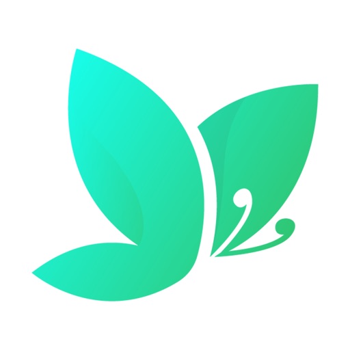 Social Butterfly Video Chat