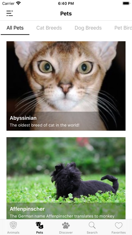 Animal Facts (Animal World) screenshot-7