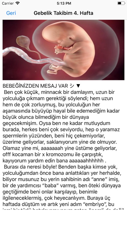 Gün Gün Gebelik Takibi