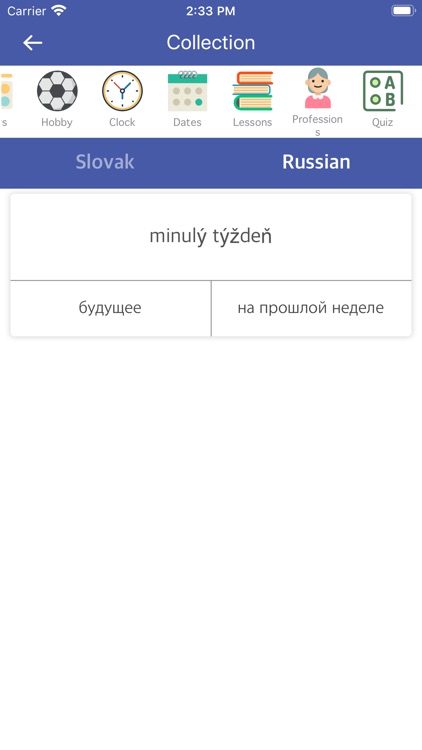 Slovak Russian Dictionary screenshot-3