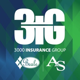 3000 Insurance Group