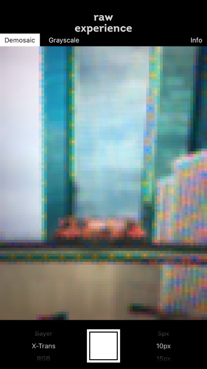 RAW Experience screenshot-3