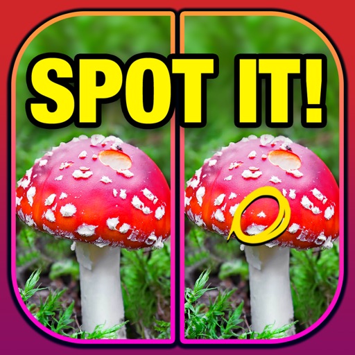 What's the Difference? Spot It