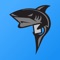 SkillShark player evaluation software allows coaches and organizations of any sport to evaluate players for tryouts, camps, showcases and coaching evaluations