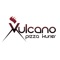 Pizza Kurier Vulcano einfach online bestellen bequem und sicher