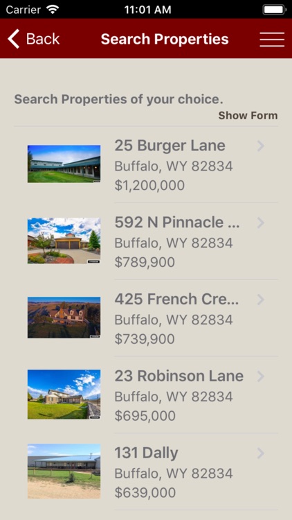 Wendy Greenough Buffalo Realty screenshot-3