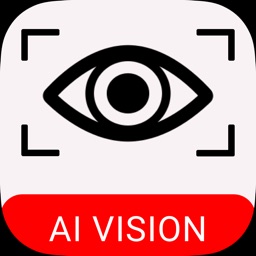 AI in Vision