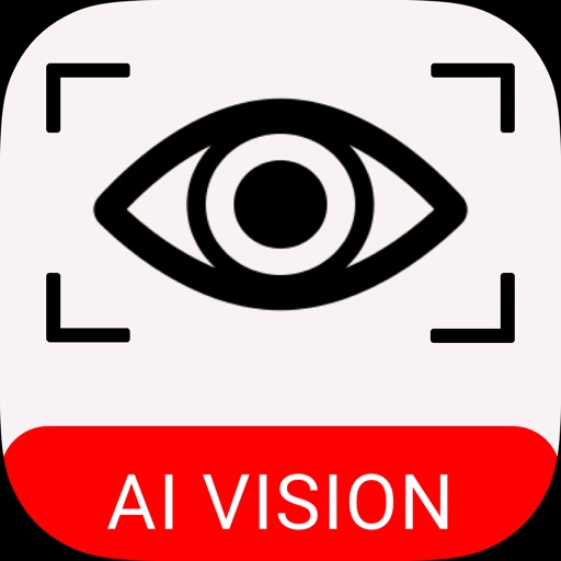 AI in Vision