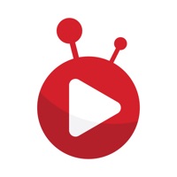 Bongo: Movies, Series & Shows