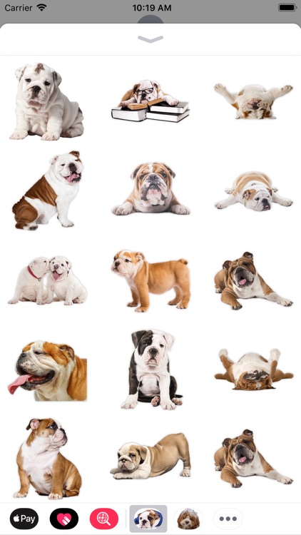 English Bulldog Stickers